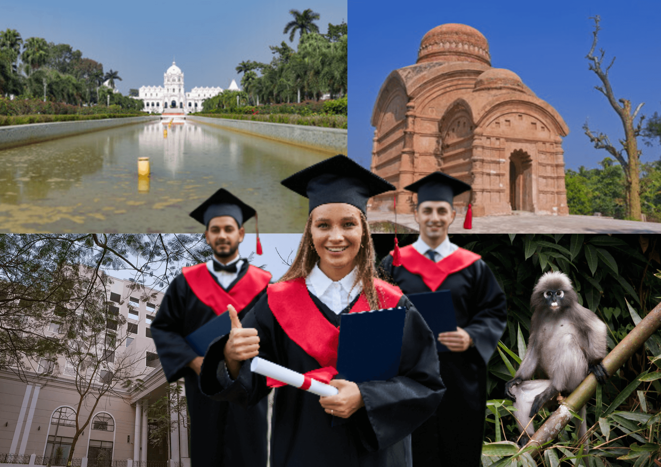 Career Counselling in Agartala, Tripura